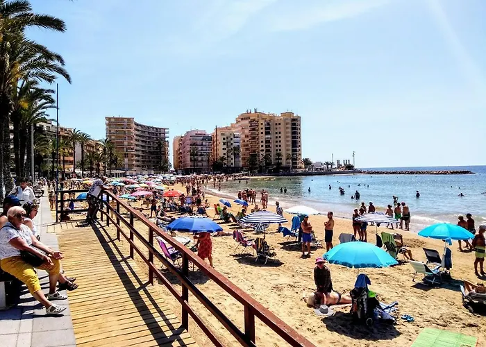 Arquitecto Torrevieja